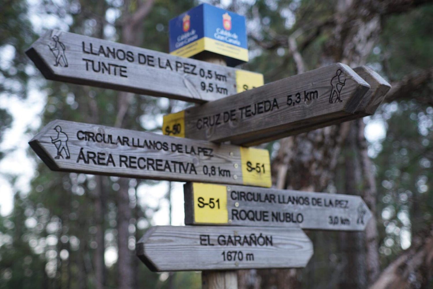 Transgrancanaria