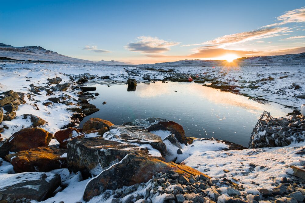 Falklands Ultra
