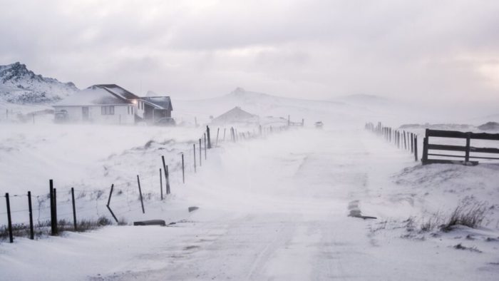 Falklands Ultra snow