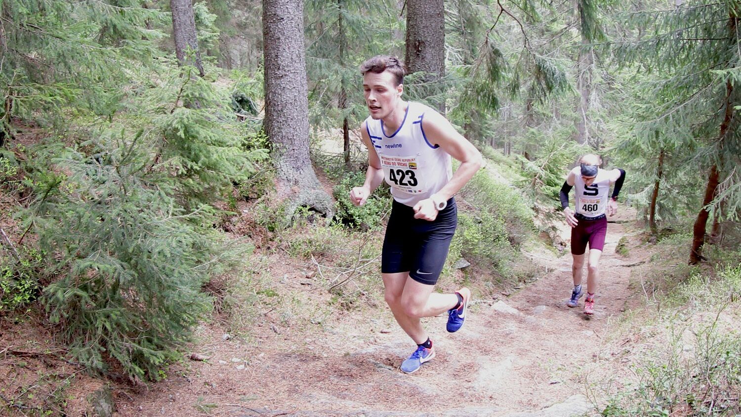 The Krkonossky Half Marathon route features a steep ascent early on (Photo credit Jiri Kottas)