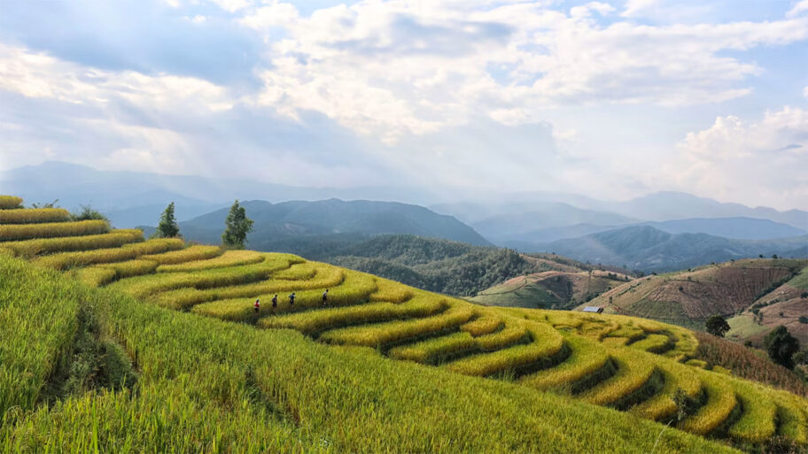 Doi Inathon Thailand by UTMB Doi Inathon Thailand by UTMB