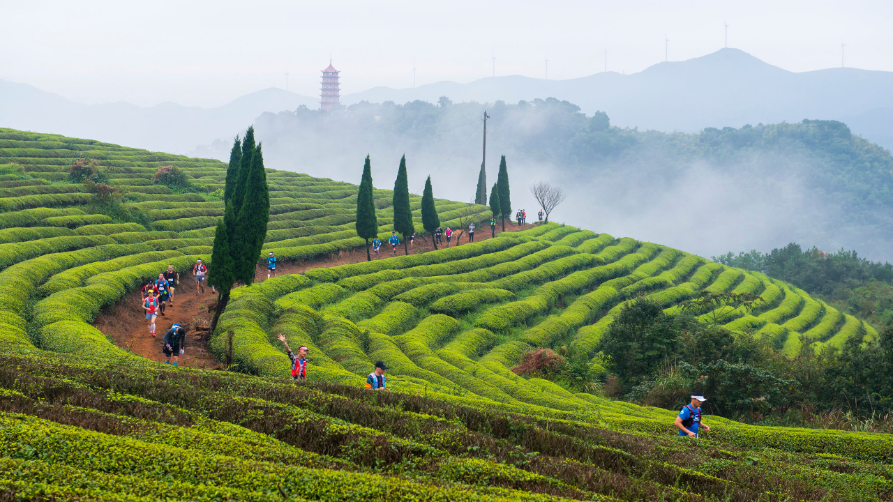 Ultra-Trail Ninghai by UTMB