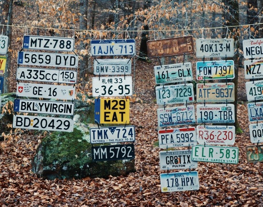 Number plates of the runners at the start of the 2023 Barkley Marathons photo credit: Davidmillerphotography_ on Instagram