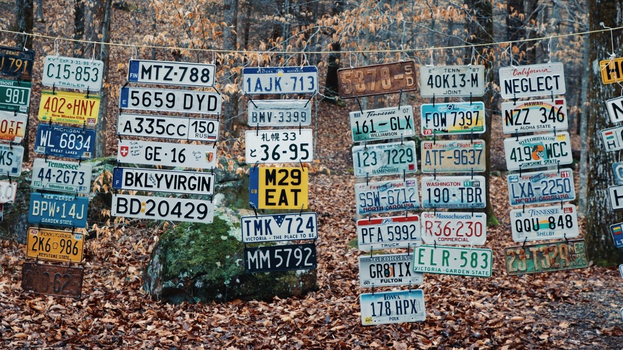 Number plates of the runners at the start of the 2023 Barkley Marathons photo credit: Davidmillerphotography_ on Instagram