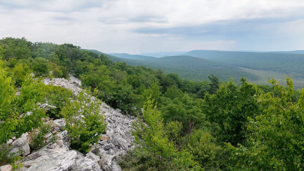 rothrock-utmb-world-series