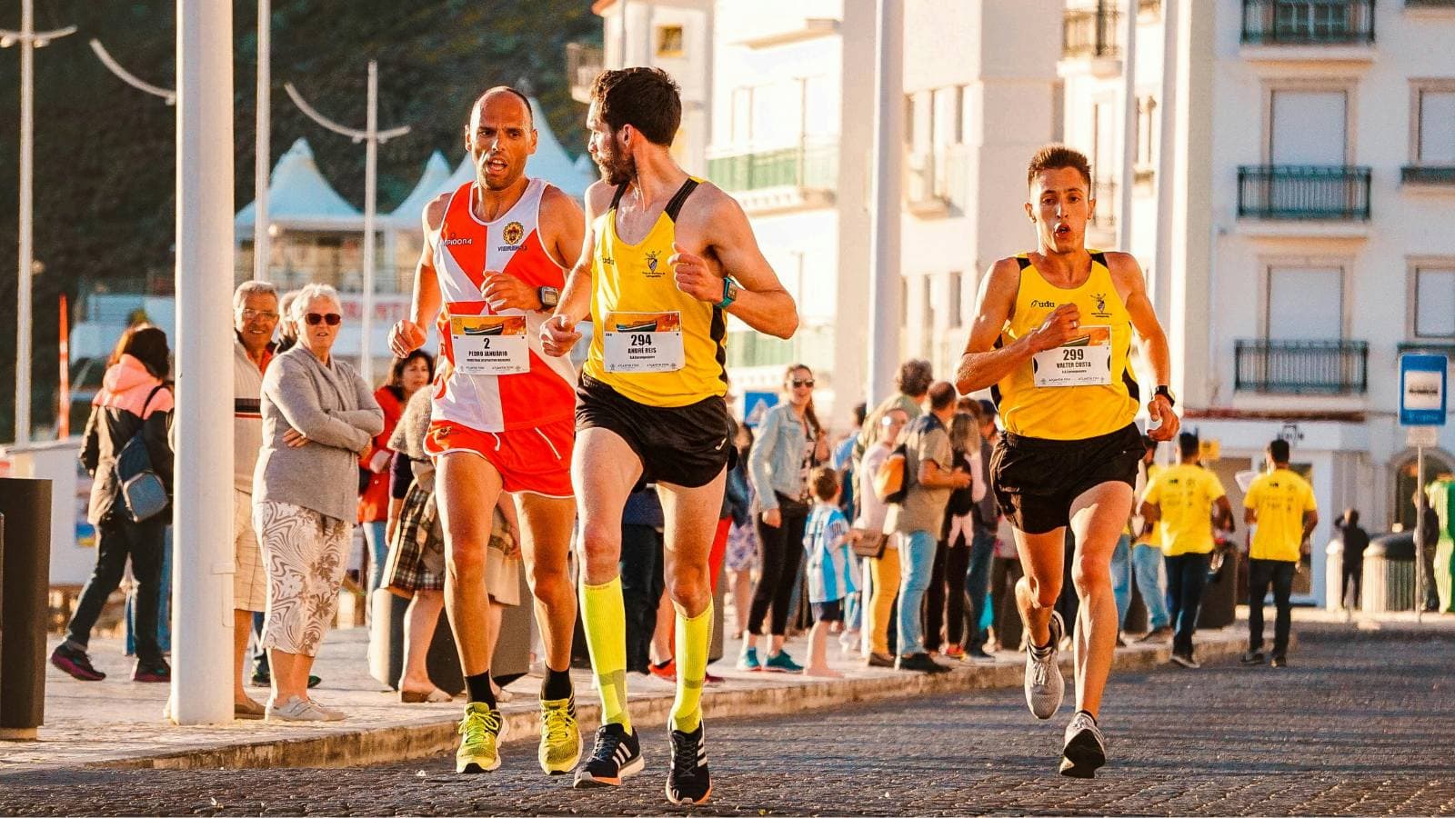 A large group of marathon runners moving together during a race, highlighting collective endurance and the role of varied training methods like easy runs, tempo runs, and interval workouts.