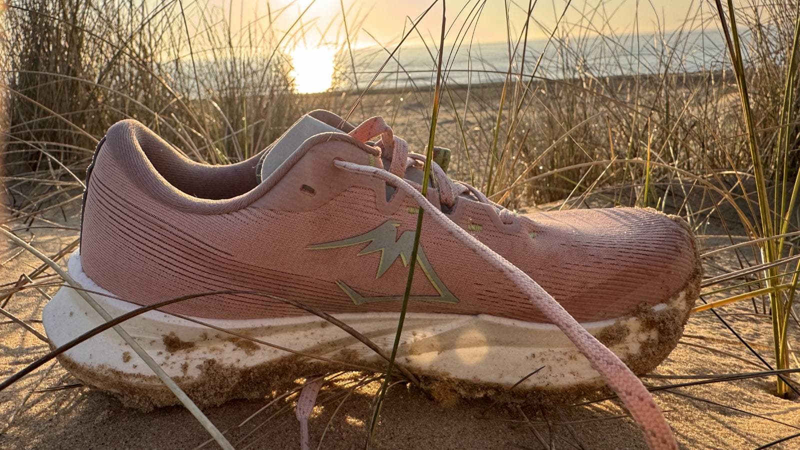 ASICS Fuji Lite 6 trail shoe displayed outdoors highlighting grip cushioning and lightweight construction