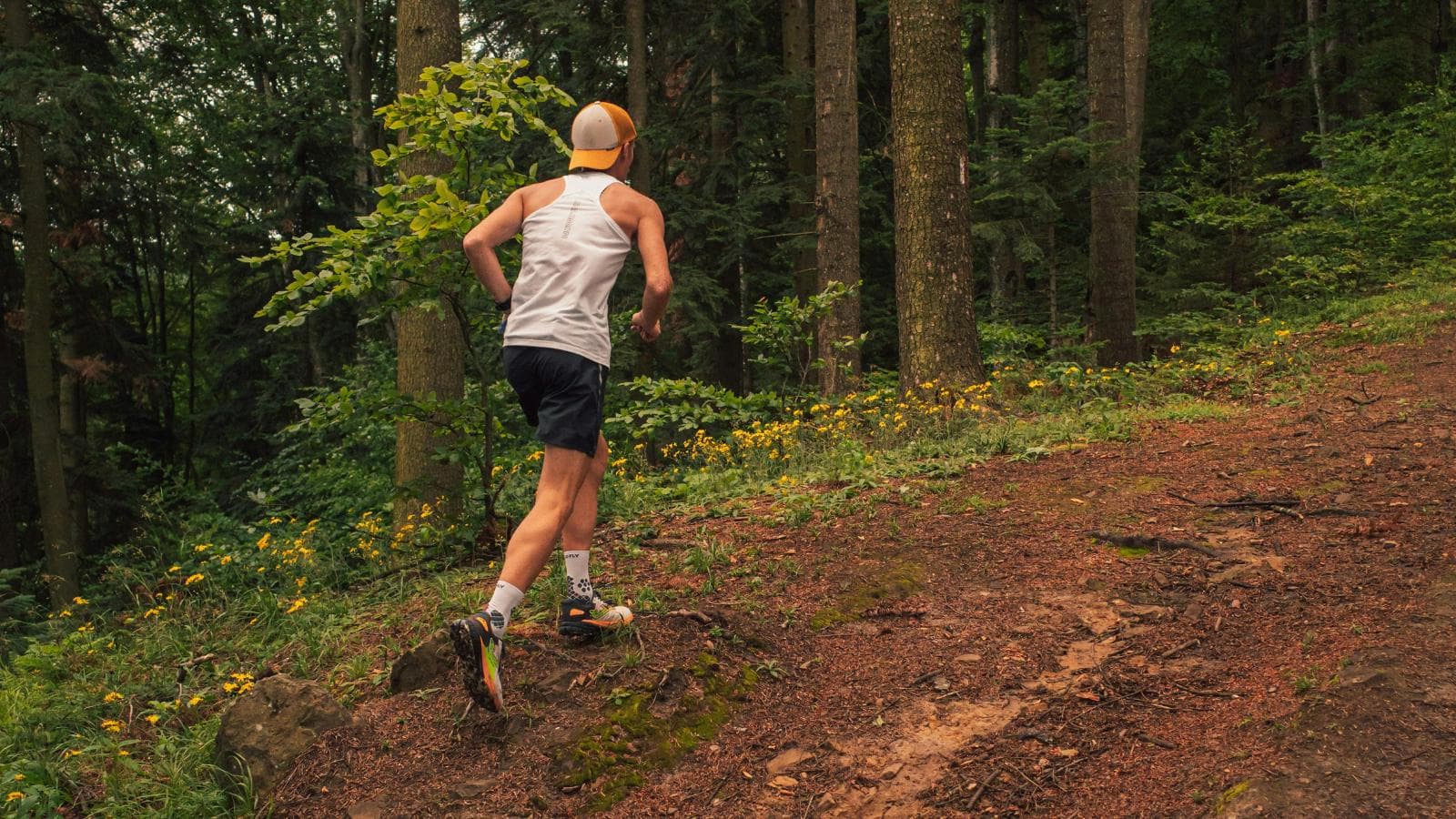 road runner exploring trail routes and learning trail running techniques on uneven terrain