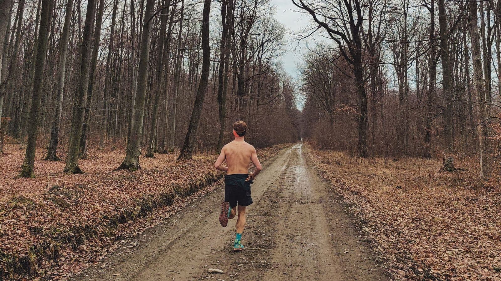 trail runner enjoying easy recovery run on forest trail as part of balanced training routine