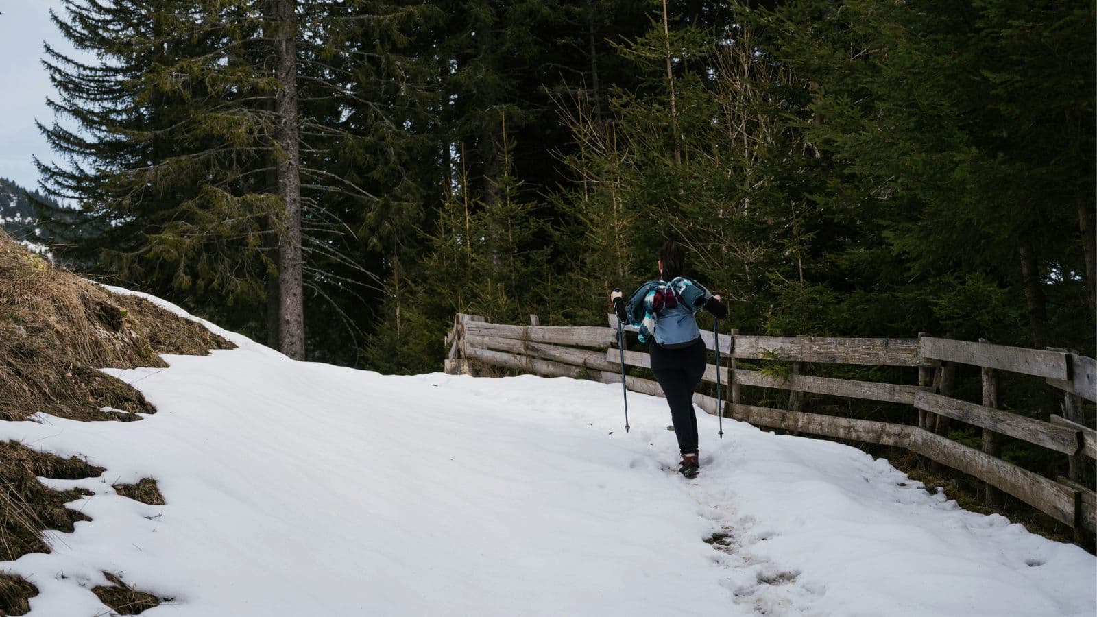 trail runner using trekking poles on rocky mountain trail during endurance training
