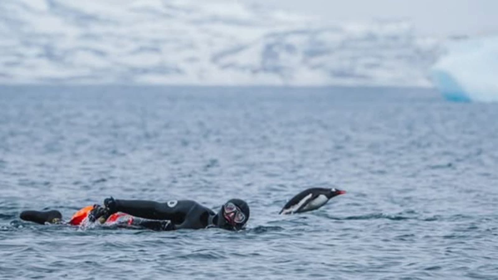 Runner swimming freestyle in a pool as a low-impact cross-training workout to support running fitness.