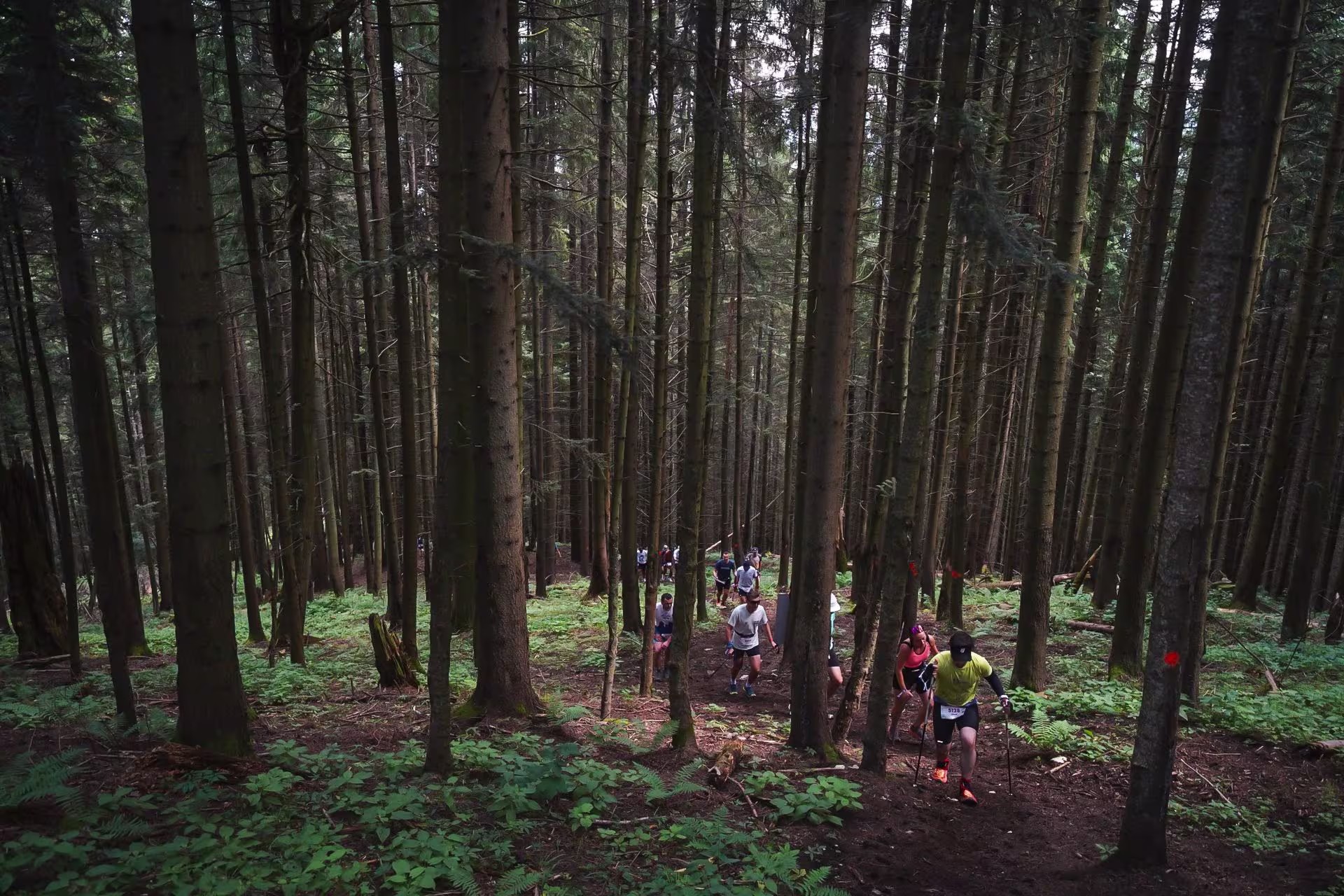 runc-challenge-by-utmb